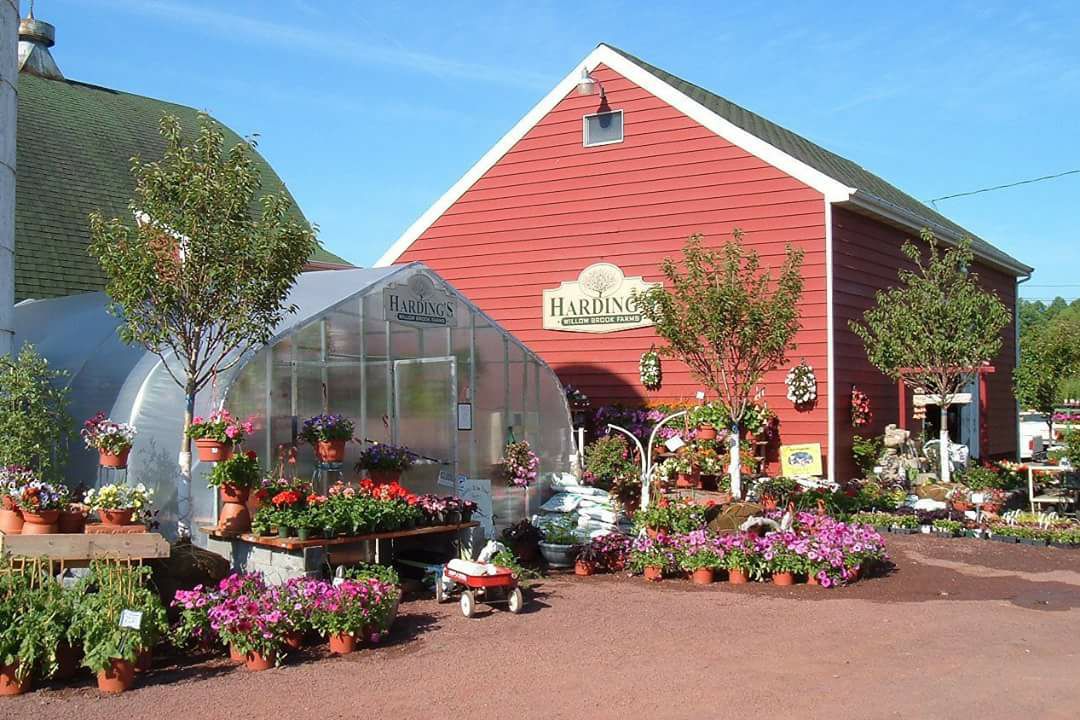 Harding’s Willowbrook Farms Hunterdon Eats