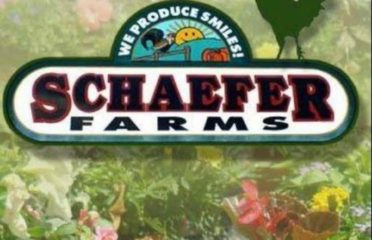 Schaefer Farms